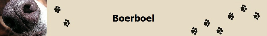 Boerboel