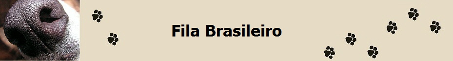 Fila Brasileiro