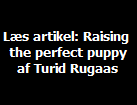 Ls artikel: Raising 
the perfect puppy
af Turid Rugaas