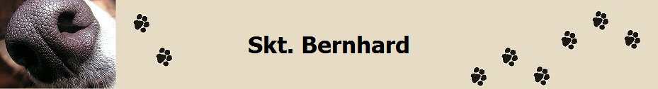 Skt. Bernhard